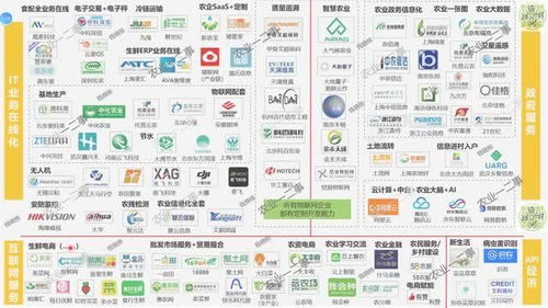 農(nóng)業(yè)信息化 互聯(lián)網(wǎng)服務(wù)如何助力現(xiàn)代農(nóng)業(yè)發(fā)展